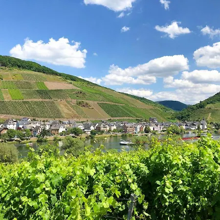 Ferienhaus Koevenig Kövenig